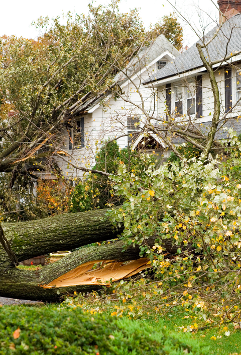 home in hurricane before and after, Hurricane Claims Assistance, Side By side adjusters